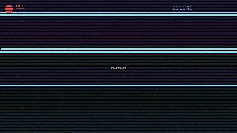 周末随拍记录 - 你的婚礼2021在线观看高清版 原创视频